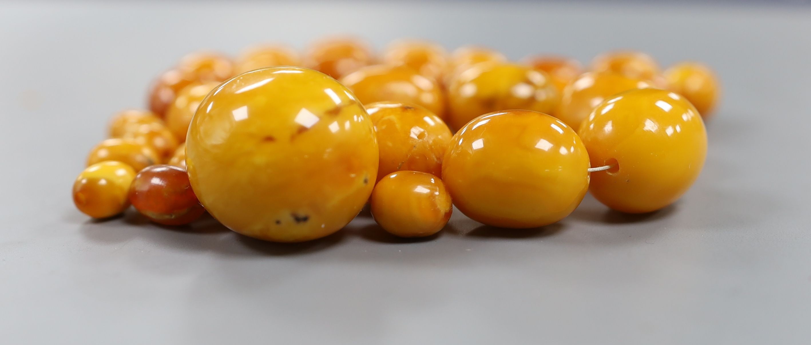 A single strand graduated oval amber bead necklace, 43cm, gross weight 51 grams and a few loose amber beads, 16 grams.